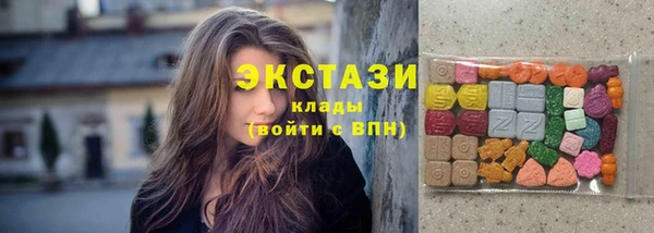индика Лабытнанги