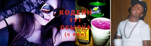 индика Лагань