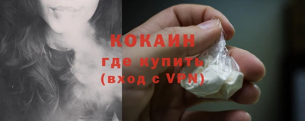 индика Лагань