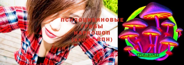 индика Лабытнанги