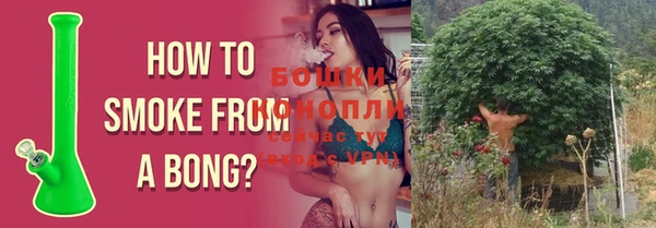 крисы Россошь