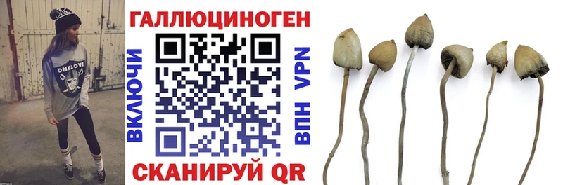 сайты даркнета Telegram Сольцы Галлюциногенные грибы MAGIC MUSHROOMS что такое наркотик