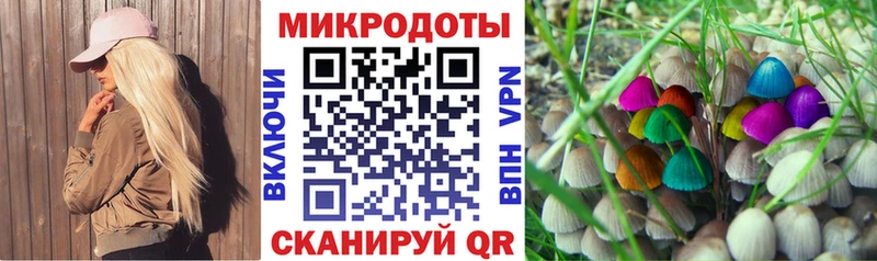 Галлюциногенные грибы мухоморы Сольцы
